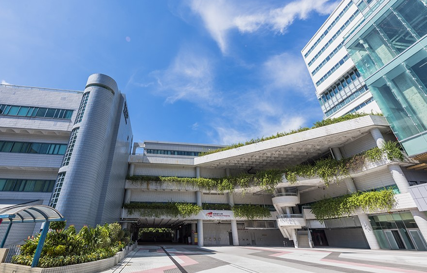 THE发布2026年度跨学科科学排名 城大荣获香港榜首