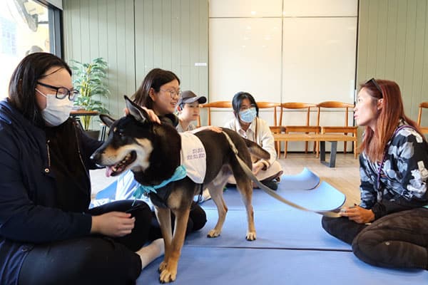 香港浸会大学国际学院_6