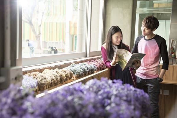 香港专业进修学校_17