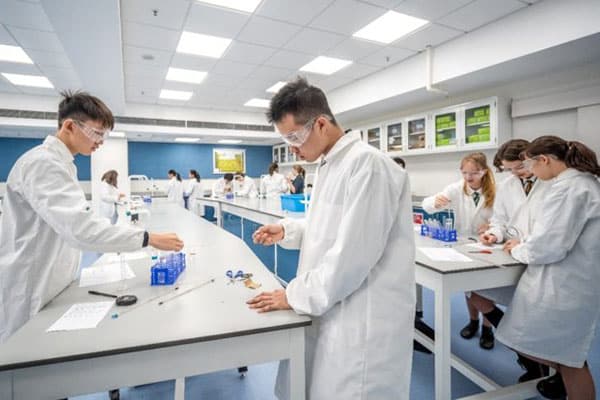 墨尔文国际学校_18