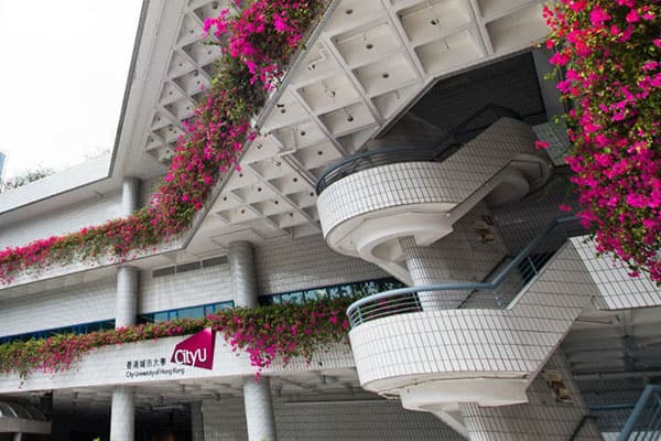 香港城市大学_19