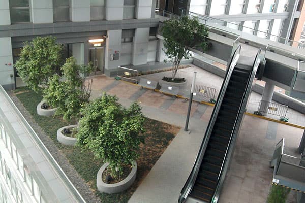 香港专上学院_4