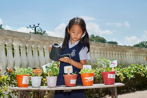 哈罗香港国际学校_15