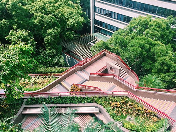 香港大学_22