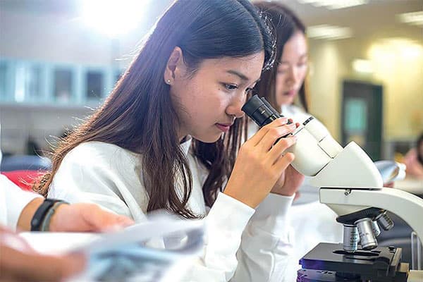 香港浸会大学国际学院_11